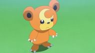 Teddiursa (Image via TPC)